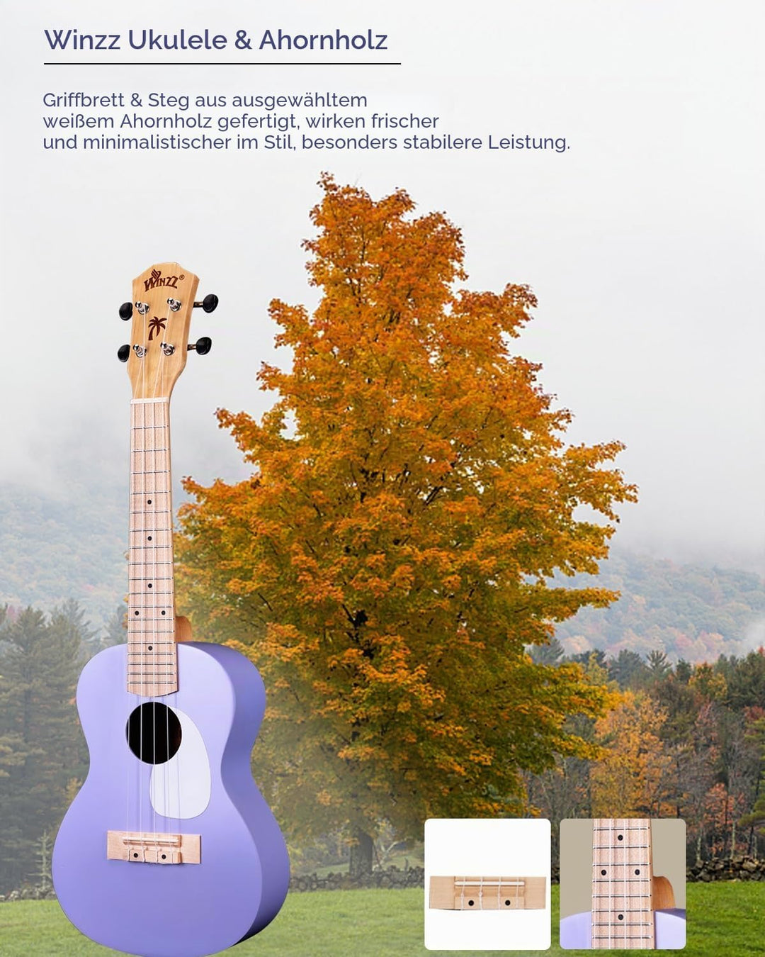 Winzz Ukulele Kinder Konzert, Ukulele Erwachsene Anfänger Set, 23 Zoll, mit 9 Zubehör, Kleine Einste