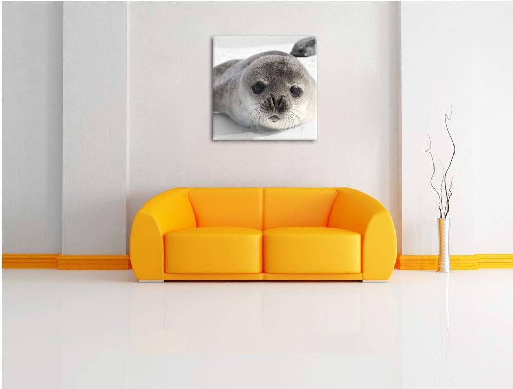 Pixxprint süsses Robben Baby als Leinwandbild/Grösse: 70x70 cm/Wandbild/Kunstdruck/fertig bespannt,