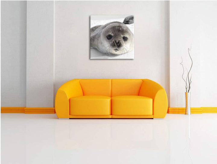 Pixxprint süsses Robben Baby als Leinwandbild/Grösse: 70x70 cm/Wandbild/Kunstdruck/fertig bespannt,