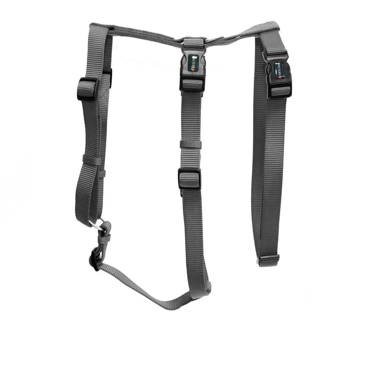 Wolters Geschirr Professional No Escape, Grösse:S 30-40 cm, Farbe:Graphite S 30-40 cm graphite, S 30