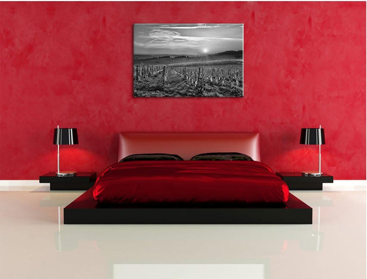 Pixxprint Weinberg in Bergerac Frankreich Kunst B&W, Format: 100x70 auf Leinwand, 100x70