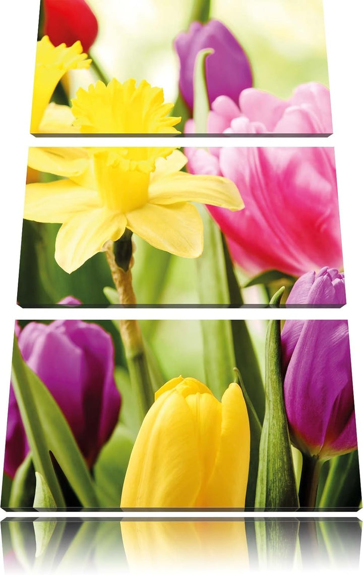 Pixxprint Farbenfrohe Osterglocken und Tulpen 3-Teiler Leinwandbild 120x80 Bild auf Leinwand