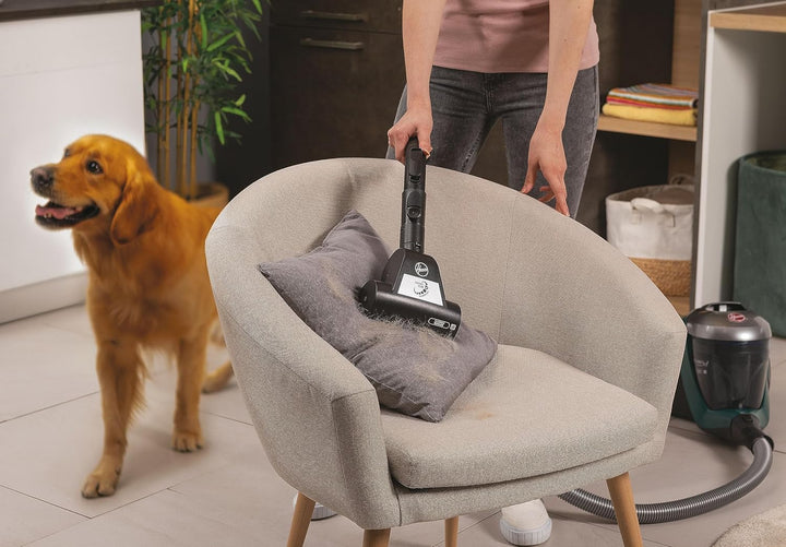 Hoover Bodenstaubsauger mit HEPA-13-Filter & Tierhaar-Düse – beutelloser Staubsauger mit XL-Staubbeh