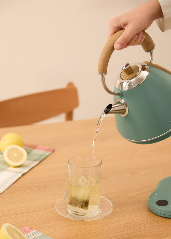 CREATE/KETTLE RETRO PRO/Wasserkocher mit Temperaturregelung 1L Salbeigrün/Automatische Abschaltung,