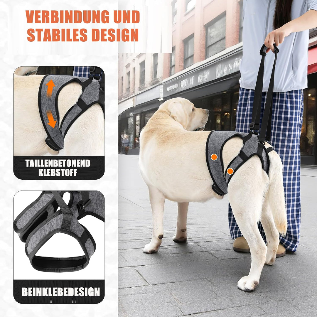 Hunde Tragehilfe, Verstellbarer Hundegeschirr für die Hinterbeine， Tragbarer Hunde Aufzugsgeschirr T