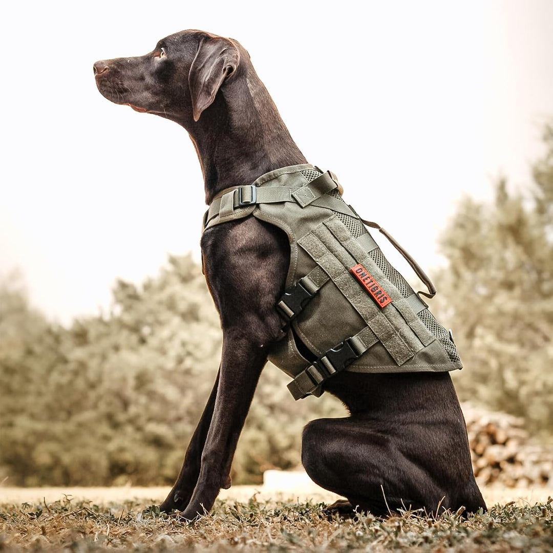 OneTigris No-Pull Hundegeschirr, AIRE MESH Einstellbar Sicherheitsgeschirr Ultra Atmungsaktiv für Gr