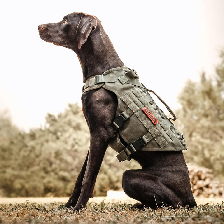 OneTigris No-Pull Hundegeschirr, AIRE MESH Einstellbar Sicherheitsgeschirr Ultra Atmungsaktiv für Gr