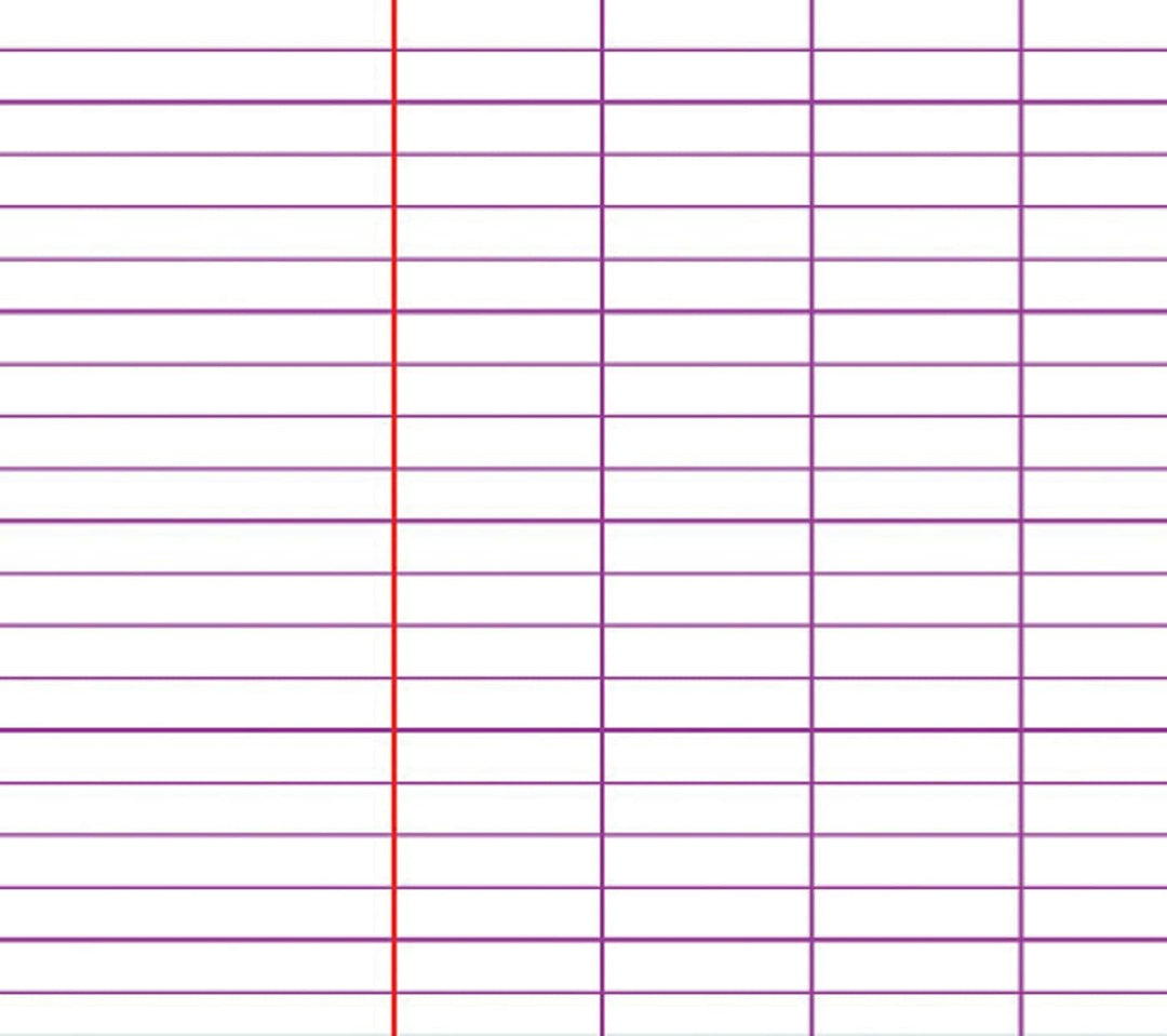 Clairefontaine 3311C Schulhefte 24x32 cm 48 Seiten 10er Pack sortiert Französische Lineatur x10 48 B