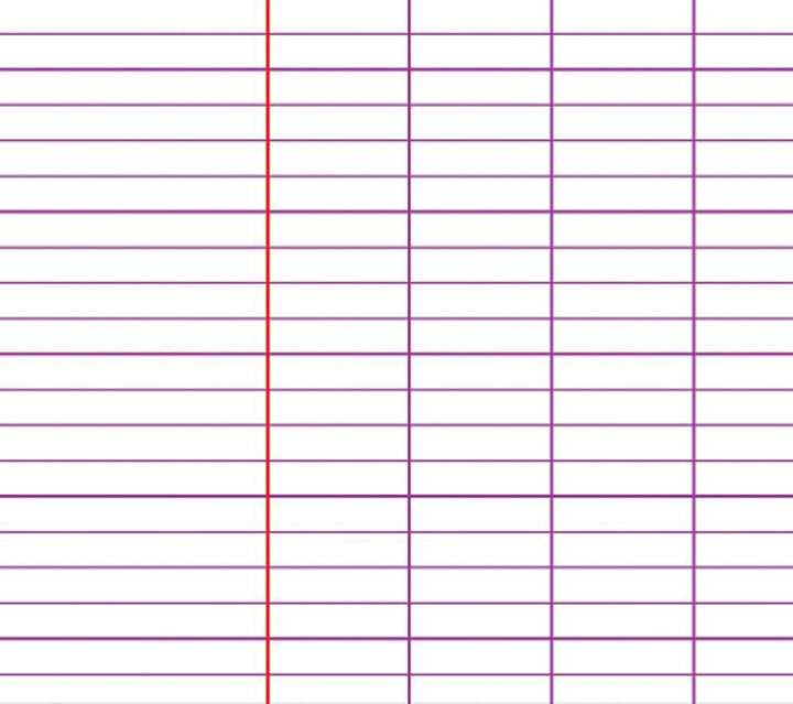Clairefontaine 3311C Schulhefte 24x32 cm 48 Seiten 10er Pack sortiert Französische Lineatur x10 48 B