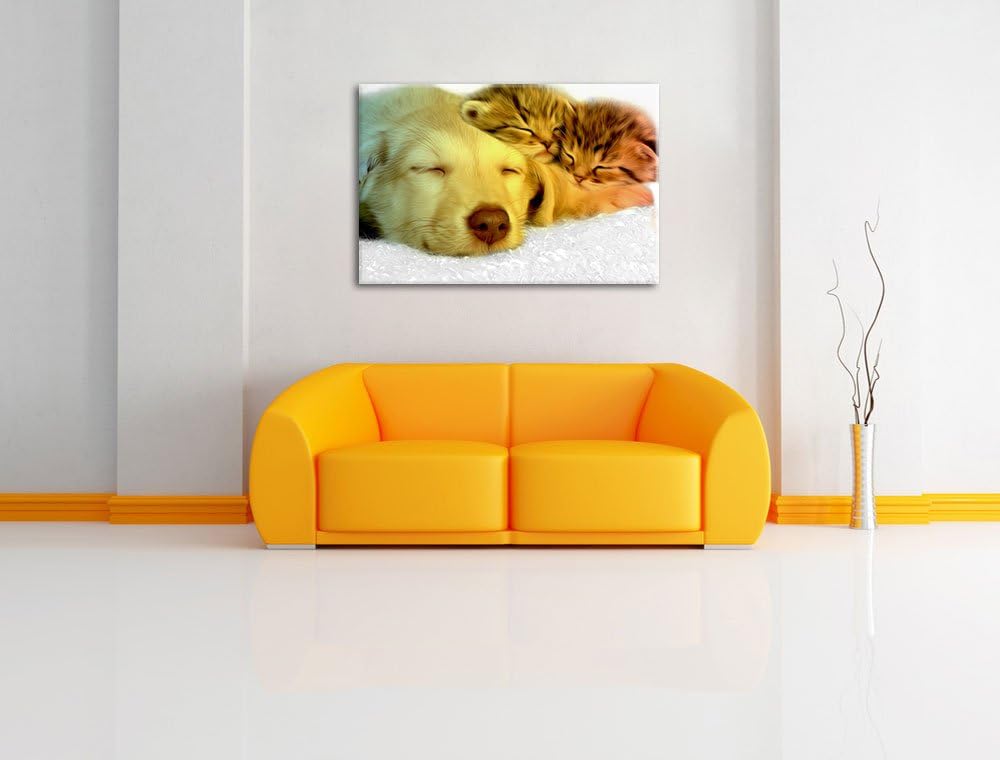 niedlicher Welpe kuschelt mit süssen Kätzchen schwarz/weiss Format: 100x70 auf Leinwand, XXL riesige