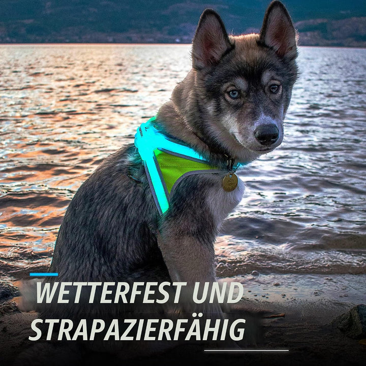 noxgear LightHound – Revolutionäres beleuchtetes und reflektierendes Geschirr für Hunde, inklusive m