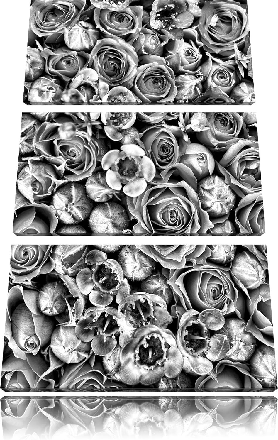 Pixxprint Rosa Rote Roten als Leinwandbild/Grösse: 3 Teilig (120x80) cm/Wandbild/Kunstdruck/fertig b