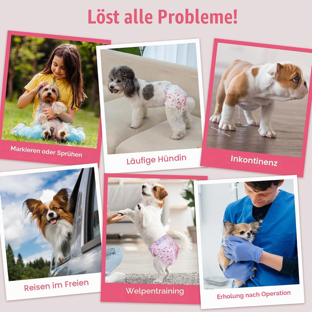 Pet Soft Hundewindeln für Hündinnen, 50 Stück Einweg Windeln für Hunde&amp;Katzen, Hochsaugfähige Katzen