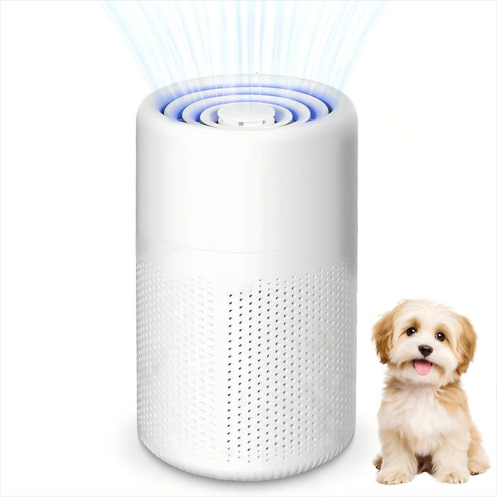 Luftreiniger Allergiker mit Aktivkohlefilter USB Tragbar HEPA Filter 5W Geräuscharm Für Tierhaare &
