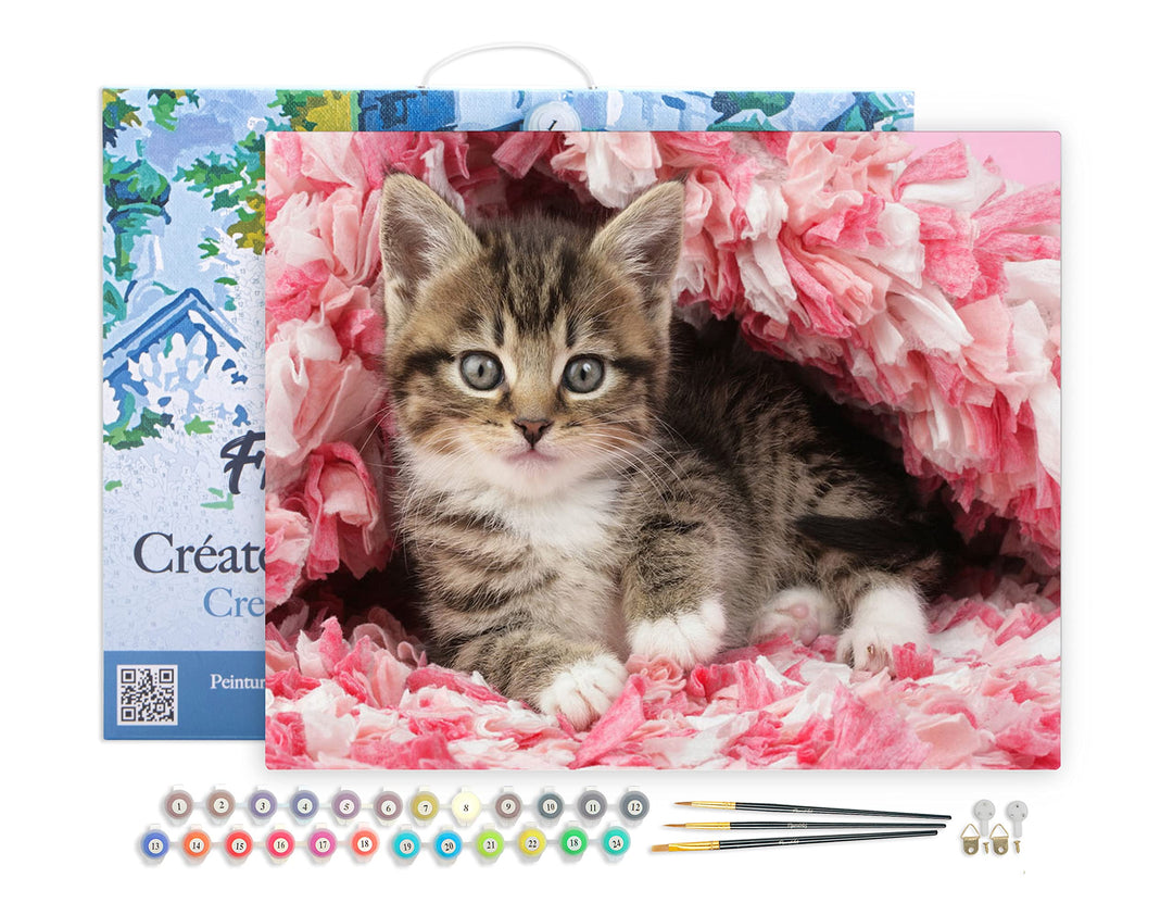 Figured'Art Malen Nach Zahlen Erwachsene Mit Rahmen Katze unter Decke - Paint by Numbers Basteln DIY