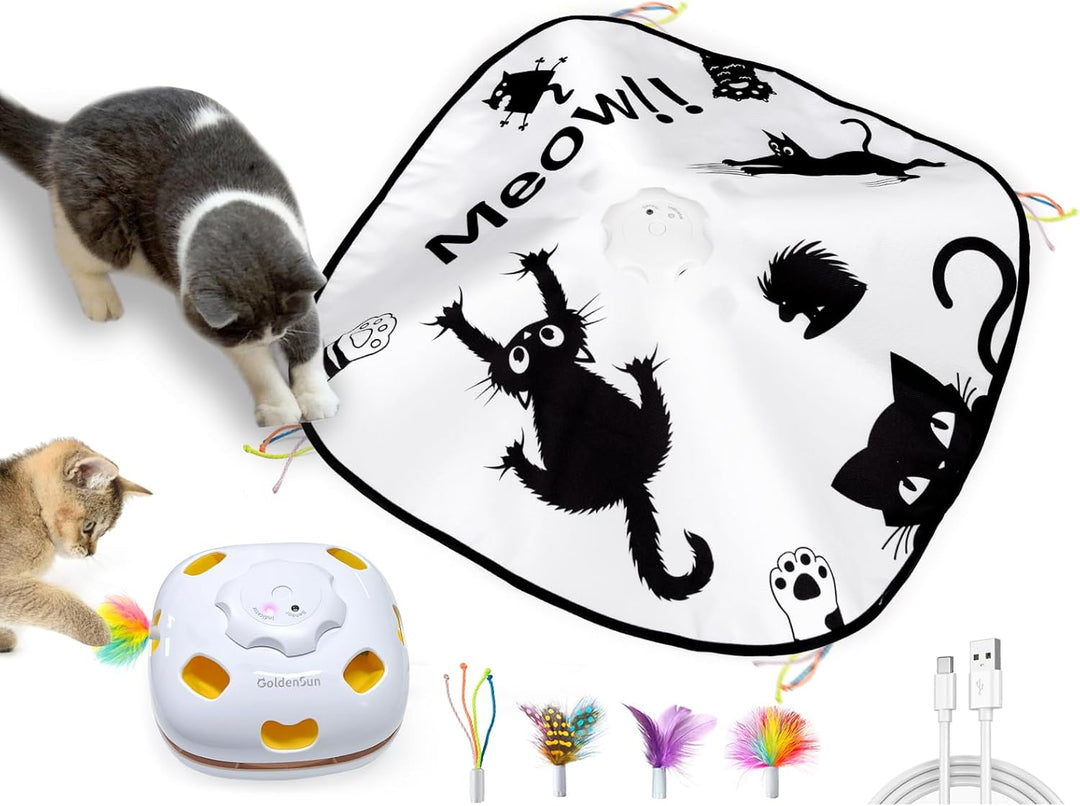 GoldenSun Katzenspielzeug, Wiederaufladbar, Interaktives 4-in-1 Kitten Spielzeug für Indoor, Verstec