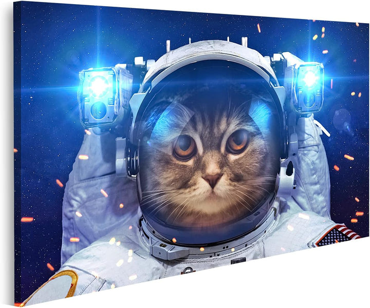 islandburner Bild auf Leinwand Schöne Katze Im Weltraum Wandbild Poster Kunstdruck Bilder, Format: 8