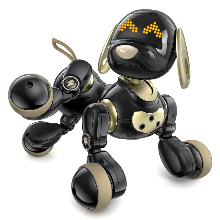 Ruko 18011 Roboter Robo Hund für Kinder, LED Ausdrücke, Schwarz Gold | programmierbar, 2,4 GHz Fernb