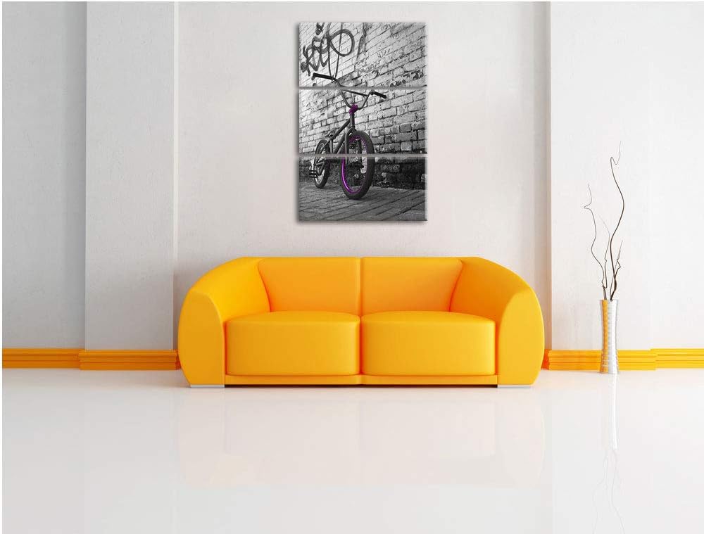Pixxprint BMX Fahrrad Graffiti als Leinwandbild | Grösse: 3 Teilig (120x80) | Wandbild| Kunstdruck |