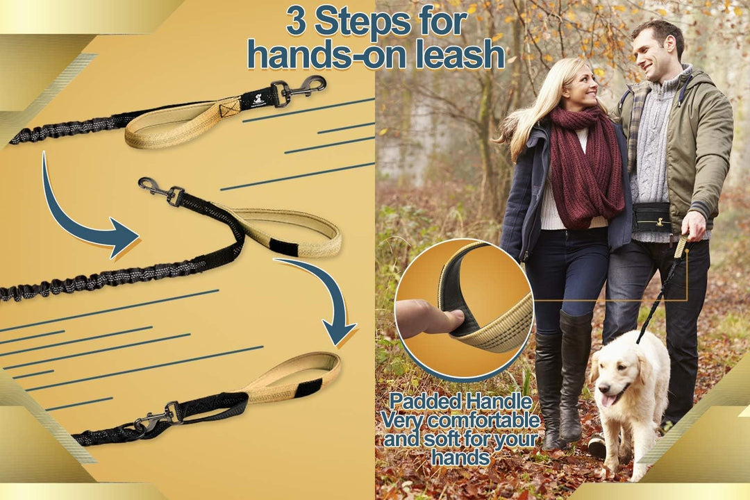 Joggingleine für Hunde zum Laufen, Joggen, Wandern | 2 in 1 Joggingleine und Normale Hundeleine für