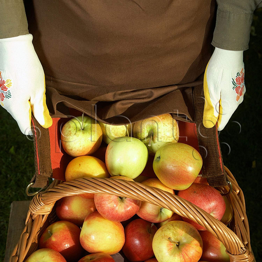 planto Profi-Pflücktasche Ernteschürze Garten, Gartenschürze für Ernte, Sammelschürze, für Gartenabf