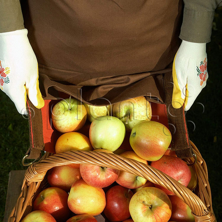 planto Profi-Pflücktasche Ernteschürze Garten, Gartenschürze für Ernte, Sammelschürze, für Gartenabf