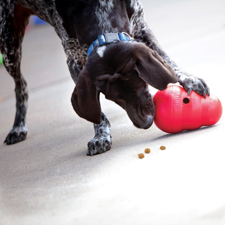 KONG Wobbler - Interaktives Hundespielzeug zur Leckerliausgabe - Langsamfresser - Für Gesunde Ernähr
