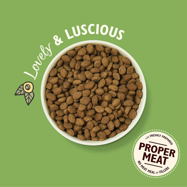 Lily‘s Kitchen Getreidefreies Vollwertiges Trocken Hundefutter für ausgewachsene Hunde (12kg) Lamm S