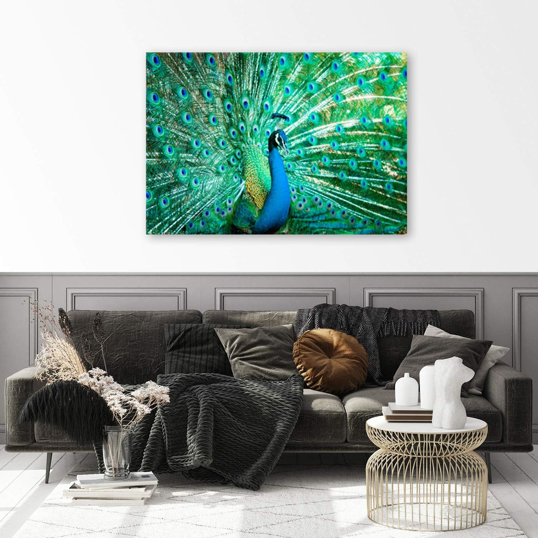 Feeby Wanddeko Pfau Leinwandbild Kunstdruck Tier Blau 60x40 cm M_8717 60x40 cm, M_8717 60x40 cm