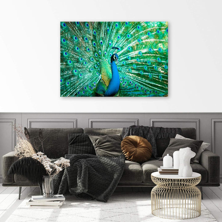 Feeby Wanddeko Pfau Leinwandbild Kunstdruck Tier Blau 60x40 cm M_8717 60x40 cm, M_8717 60x40 cm