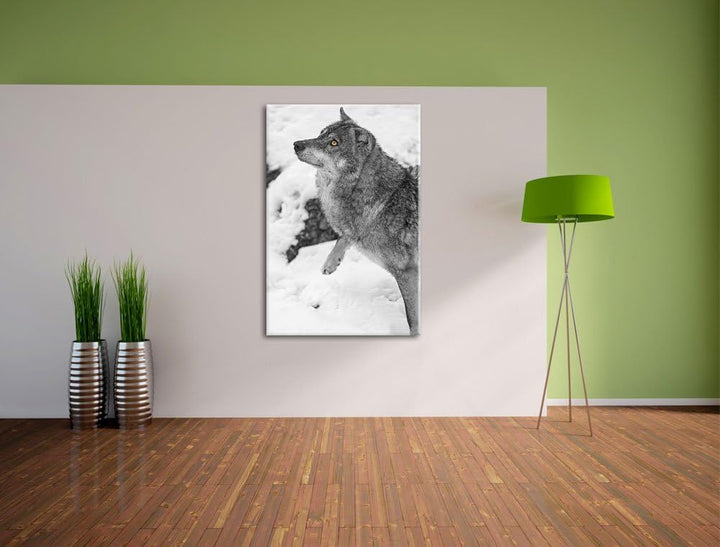 schöner Wolf im Schnee schwarz/weiss auf Leinwand, XXL riesige Bilder fertig gerahmt mit Keilrahmen,