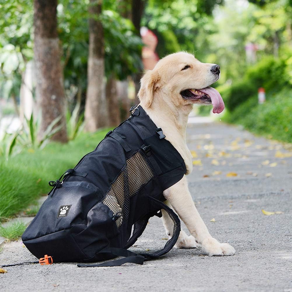 Woolala Hunderucksack für Welpen, mit wasserdichtem Futter, Reisetasche für kleine Haustiere (XL, Sc