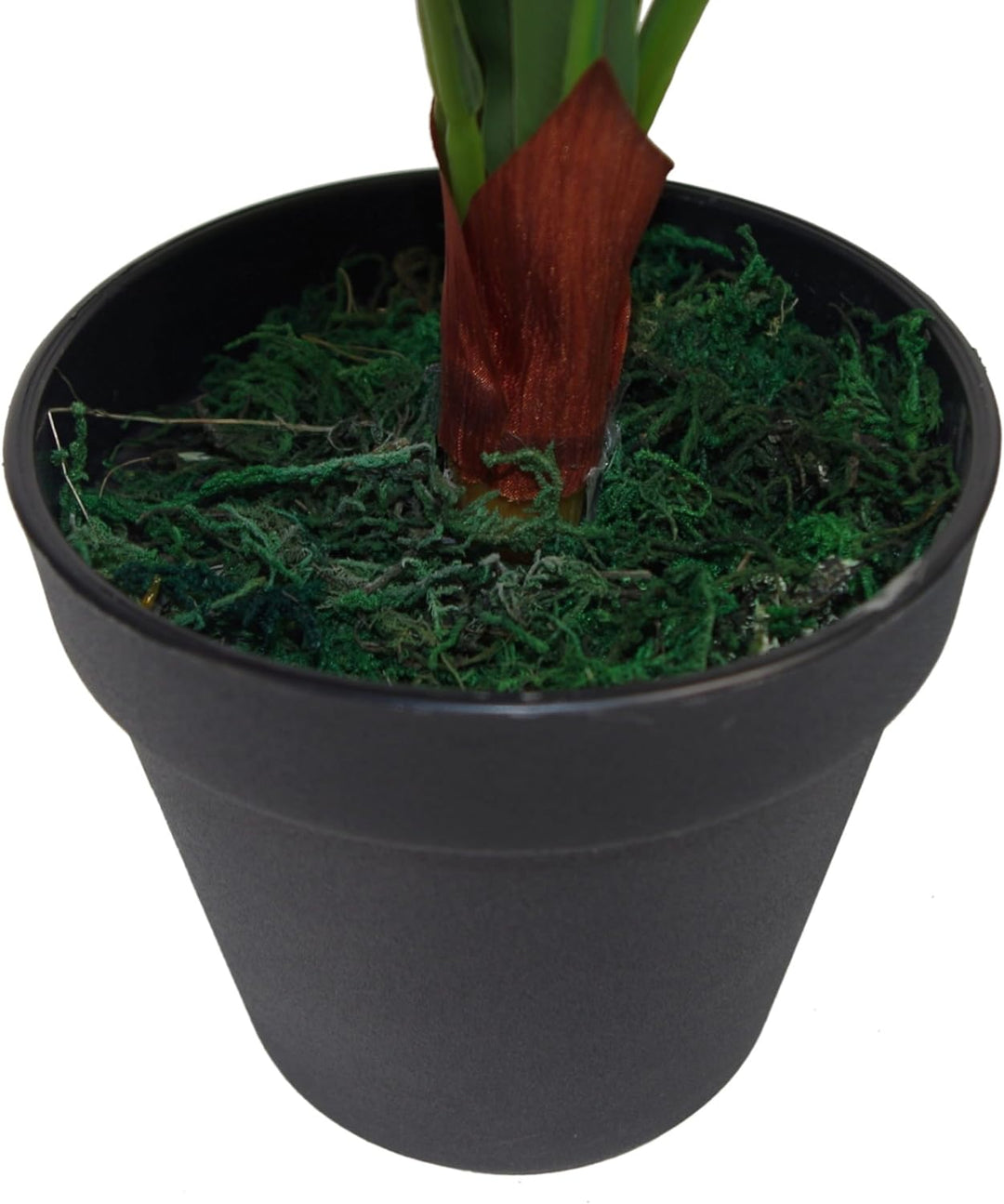 Leaf Künstlicher Vogelnest Farn, 50 cm, schwarzer Kunststofftopf, 50 cm Standard, LEAF-7081, 50 Cm S