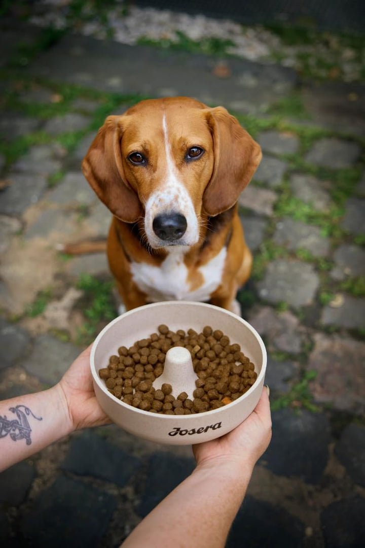 JOSERA Mother &amp; Puppy Lachs &amp; Reis (1 x 3 kg) | Premium Trockenfutter für trächtige/säugende Hündinn
