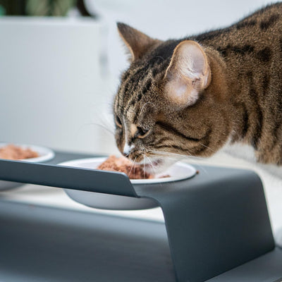 LucyBalu® Erhöhte Doppel-Futterstation Katze | Ergonomischer Katzennapf erhöht | Erhöhter Futternapf