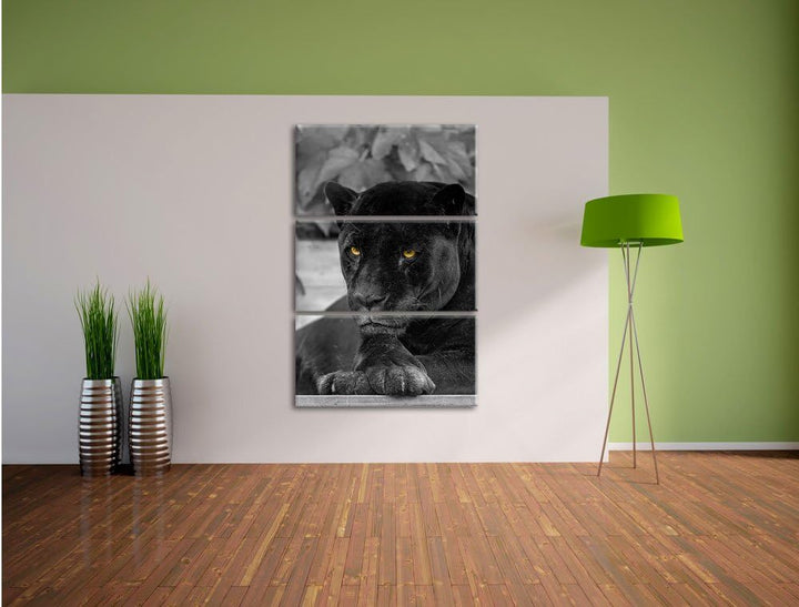 Pixxprint schwarzer Panther als Leinwandbild/Grösse: 3 Teilig (120x80) cm/Wandbild/Kunstdruck/fertig
