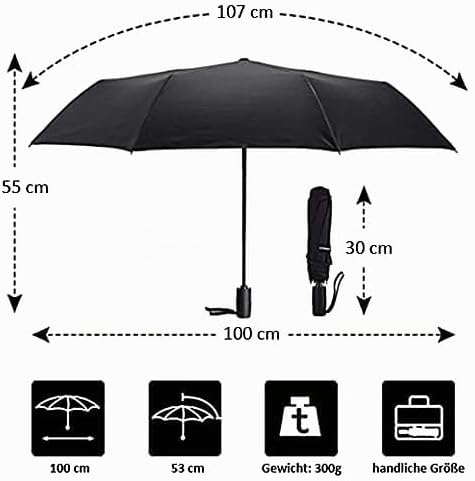 VON LILIENFELD Regenschirm Taschenschirm Stiefmütterchen Windfest Auf-Zu-Automatik Blumen Stabil Lei
