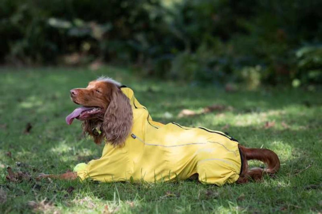 Rukka Pets Hunde- und Welpenmantel – Schutzoverall – Gelb, Grösse 30 gelb 30, gelb 30