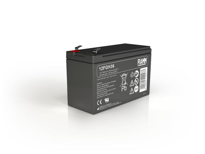 FIAMM 12FGH36 9 Ah 12 V Wechselrichter-Batterie – Batterien des Wechselrichters (9 Ah, 12 V, 5 Jahre