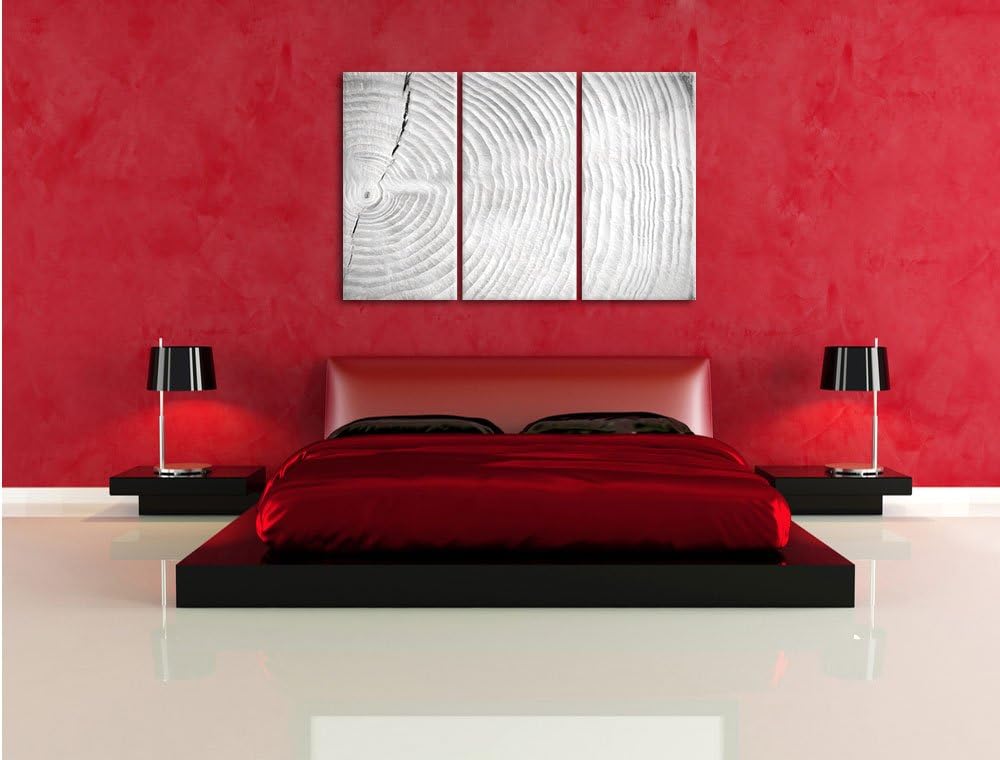 Pixxprint Baumstamm Jahresringe als Leinwandbild/Grösse: 3 Teilig (120x80) cm/Wandbild/Kunstdruck/fe