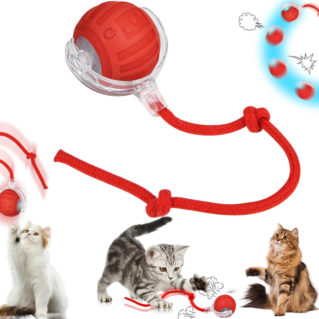 Interaktives Katzenspielzeug Ball