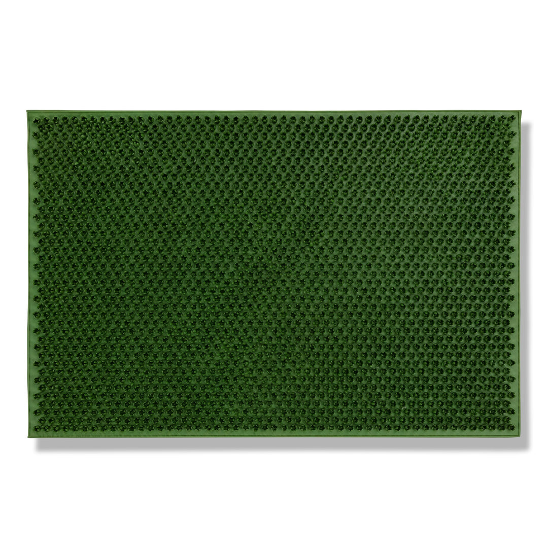 Carpido Wetterfeste Fussmatte Garten - Grün 40 x 60 cm - Outdoor Schmutzfangmatte - Türmatte leicht