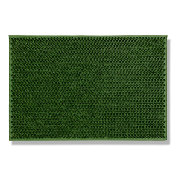 Carpido Wetterfeste Fussmatte Garten - Grün 40 x 60 cm - Outdoor Schmutzfangmatte - Türmatte leicht