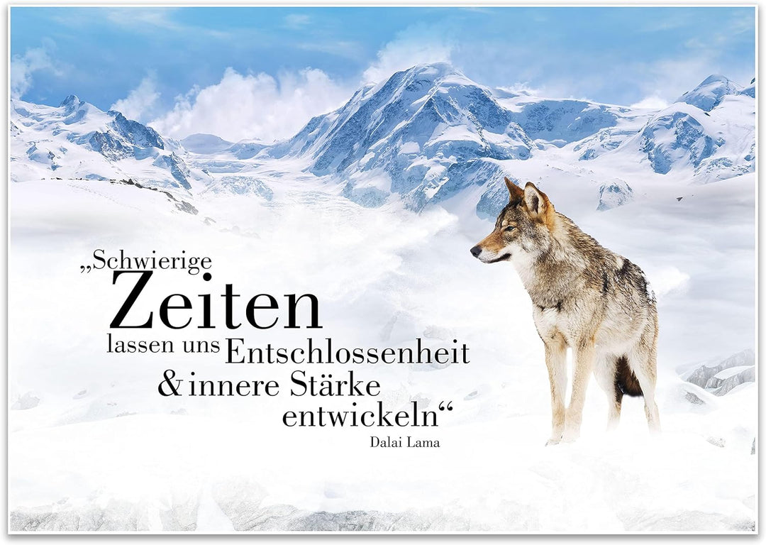 wandmotiv24 Poster als Wanddeko, Grösse Din A1, Wolf in den Bergen, Entschlossenheit, Wölfe, Tiere,