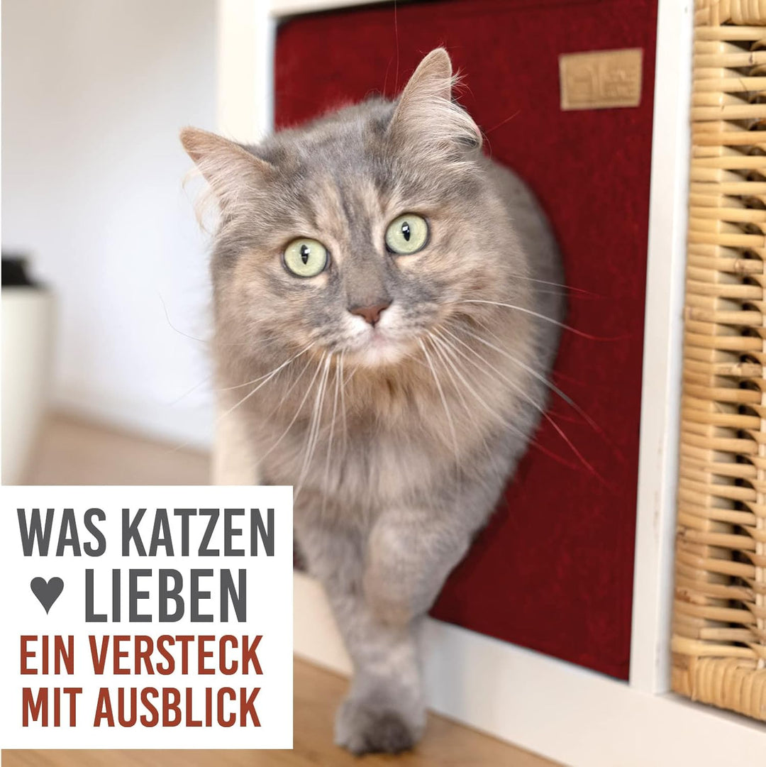 Katzenhöhle Filz fürs Regal z.B. Kallax oder Expedit I Kuschelhöhle Regal I Katzenhöhle für 2 Katzen