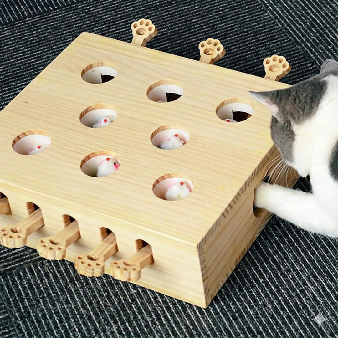 Permangallop Interaktives Katzenspielzeug, Holz, Spielzeug, Maulwurf Maus, Puzzle Box mit süssen Car