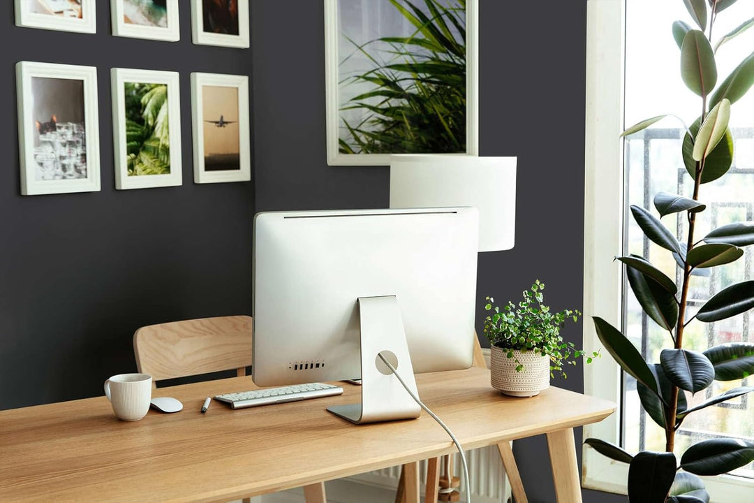 A.S. Création THE COLOR KITCHEN universelle Wandfarbe - Malerfarbe für Wohnräume und Arbeitszimmer -