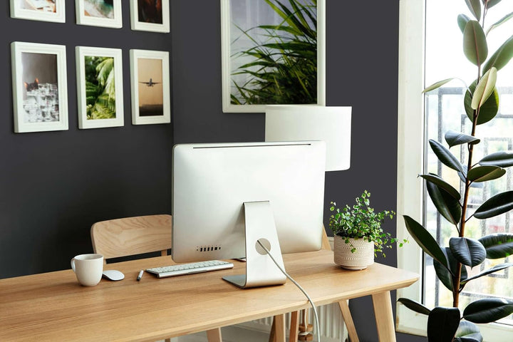 A.S. Création THE COLOR KITCHEN universelle Wandfarbe - Malerfarbe für Wohnräume und Arbeitszimmer -