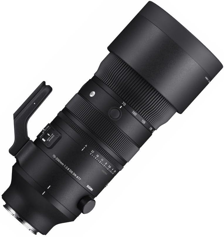 70–200 mm F2.8 DG DN OS für Sony