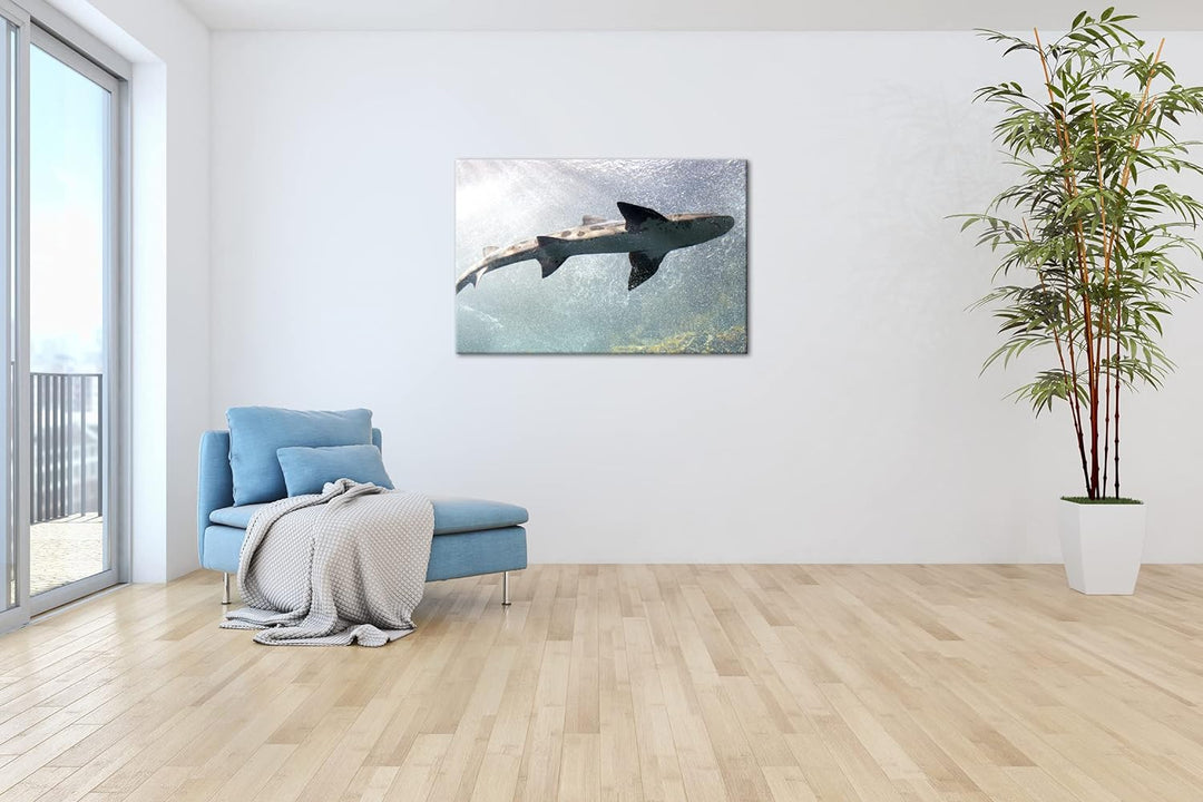 deyoli grosser Hai im Aquarium im Format: 60x40 als Leinwandbild, Motiv fertig gerahmt auf Echtholzr